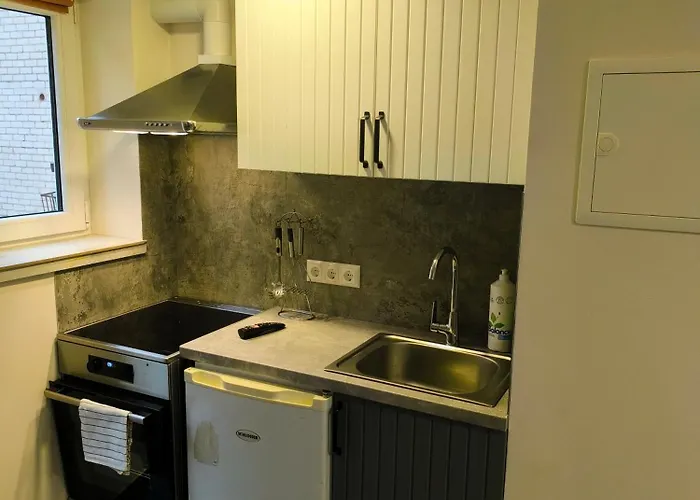 דירה Rambyno Apartamentai קלייפדה